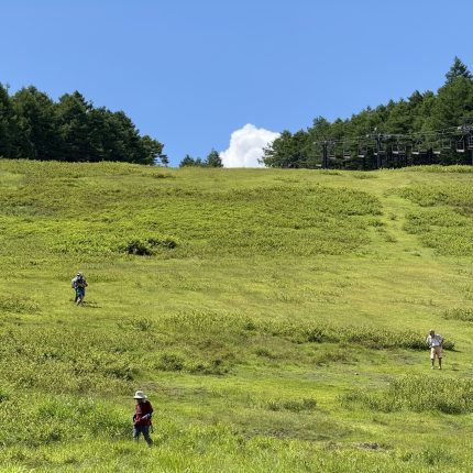 湯の丸高原